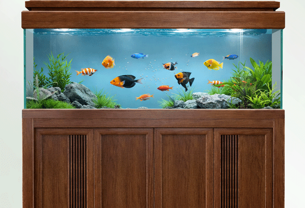 Customizable Royal series aluminum profiles