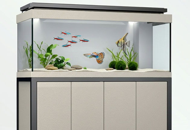 custom made aluminum profile cabinet style transparent glass aquarium