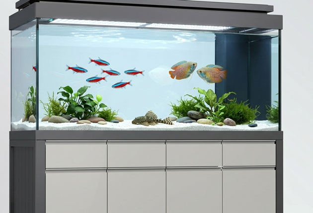 custom made aluminum profile cabinet style transparent glass aquarium
