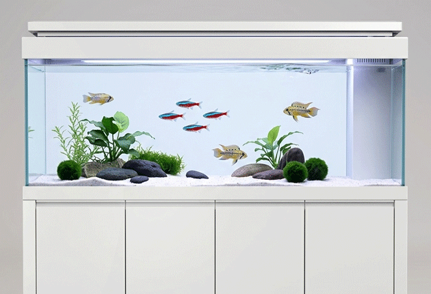 custom made aluminum profile cabinet style transparent glass aquarium