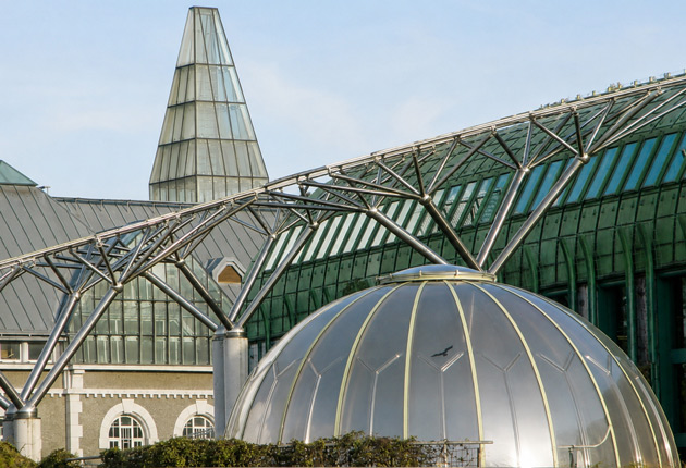 Application Cases of Custom Aluminum Profiles in Sky Dome Structures